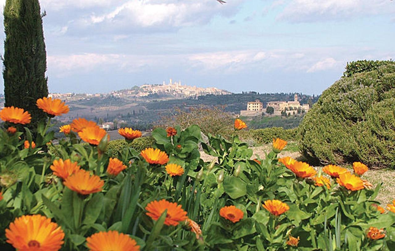Agriturismo Fattoria Il Piano - Appartamento Stalla - San Gimignano Exteriör bild